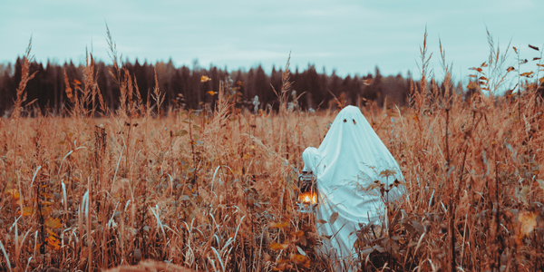 ghost carrying lantern in field